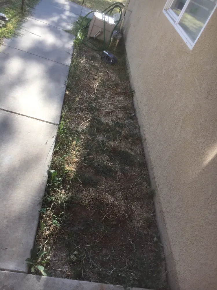 Custom lawn care service experts serving Modesto, CA - J&A Landscaping & Gardening