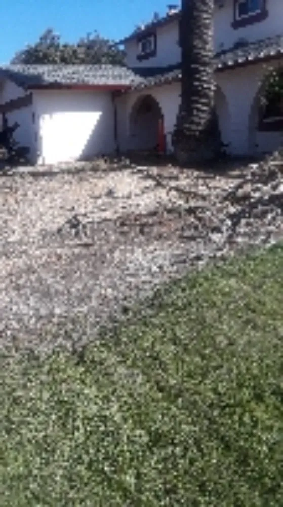 Affordable residential landscaping with custom design in Suisun City, CA by Ja Landscaping & Handyman