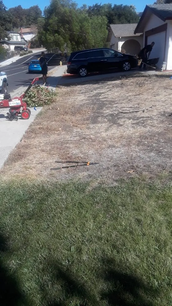 Reliable residential landscaping experts serving Suisun City, CA - Ja Landscaping & Handyman