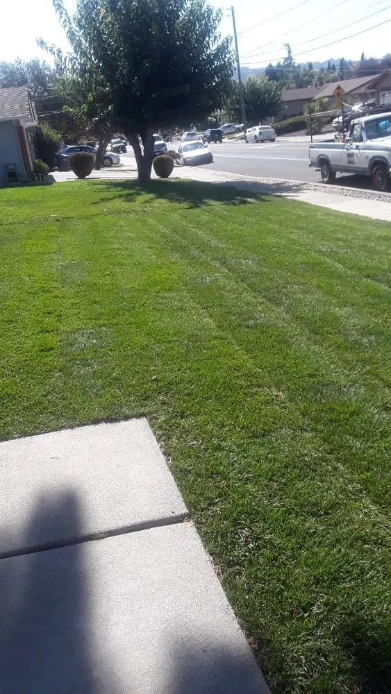 Professional landscape installation in Suisun City, CA - Ja Landscaping & Handyman