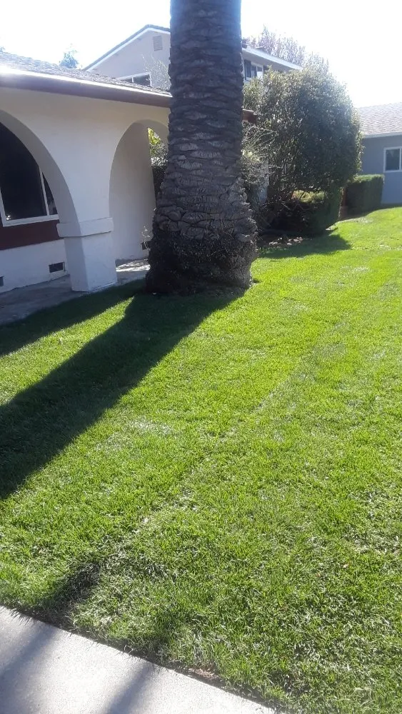 Expert landscape installation in Suisun City, CA - Ja Landscaping & Handyman