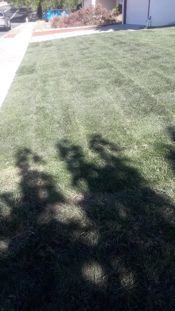 Trusted outdoor landscaping near you in Suisun City, CA by Ja Landscaping & Handyman