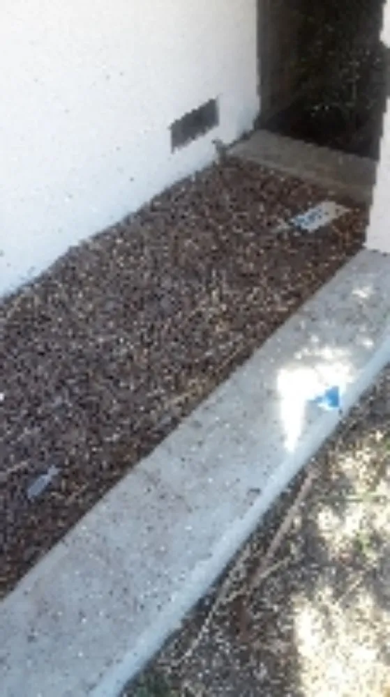 Custom outdoor landscaping in Suisun City, CA - Ja Landscaping & Handyman