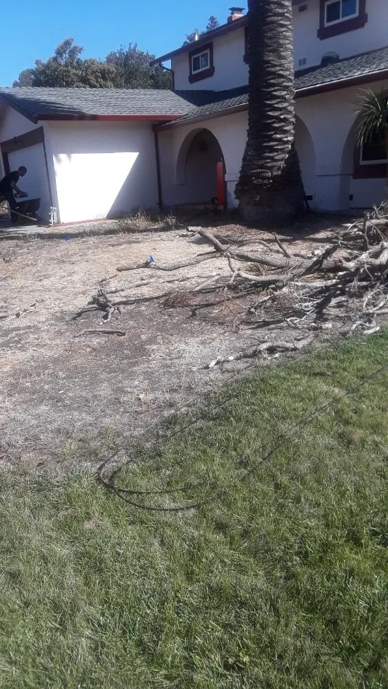 Affordable yard cleanup service for homes across Suisun City, CA - Ja Landscaping & Handyman