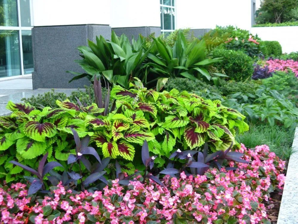 Reliable yard cleanup service for outdoor upgrades in Irving, TX by JA Landscaping & Tree Service