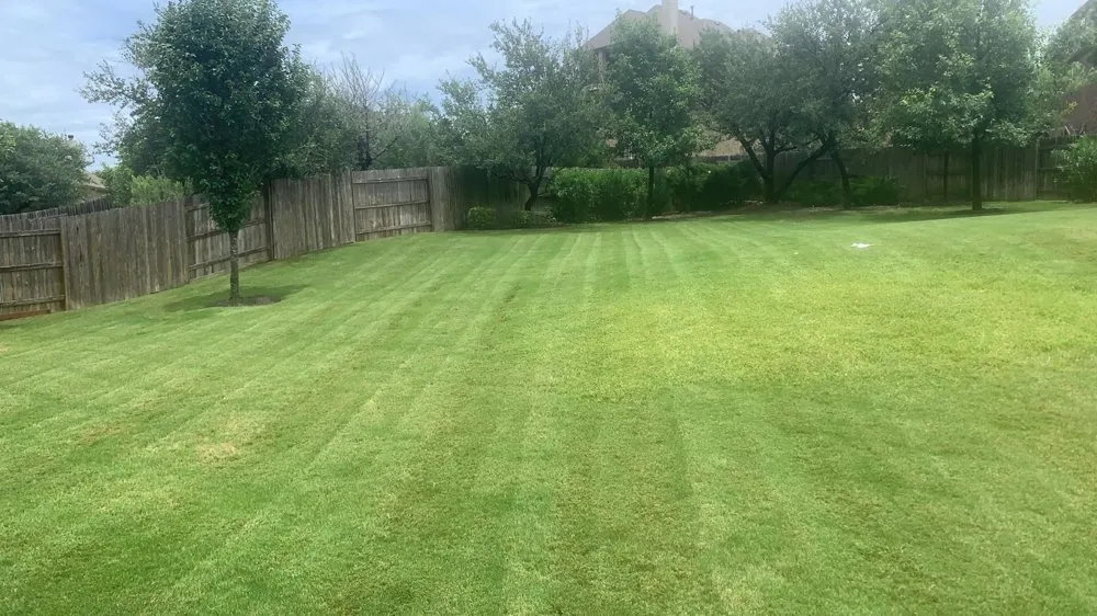 Custom outdoor landscaping for homes across Irving, TX - JA Landscaping & Tree Service