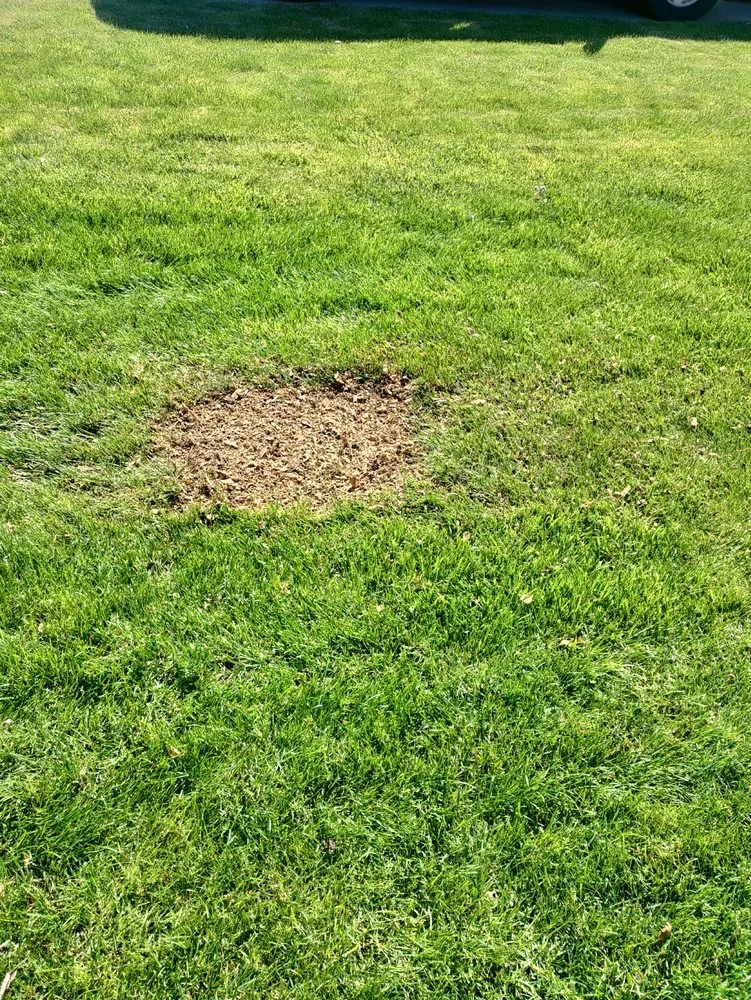 Professional landscape design near you across Emmett, ID - J&A landscaping and Tree Trimming