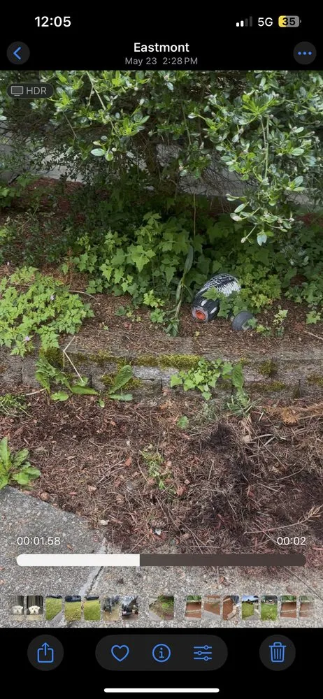 Reliable lawn care service for year-round maintenance in Everett, WA by J&A Landscaping