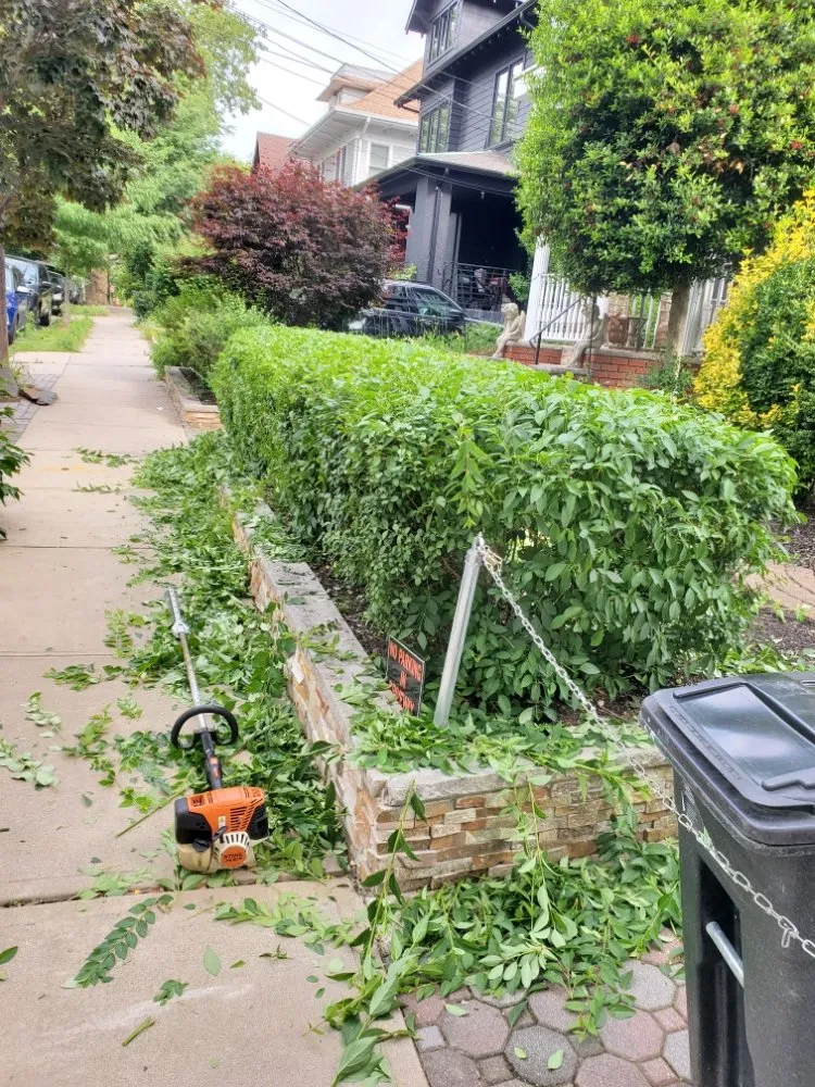 Affordable landscape design in Fairview, NJ by J&A Landscaping