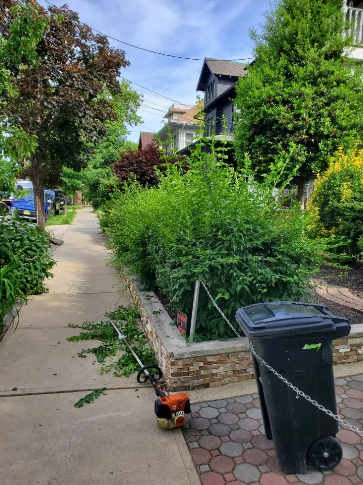 Expert lawn care service in Fairview, NJ - J&A Landscaping