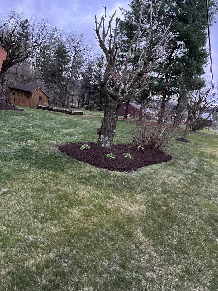 Trusted yard maintenance experts serving Harrisonburg, VA - J&A Landscaping