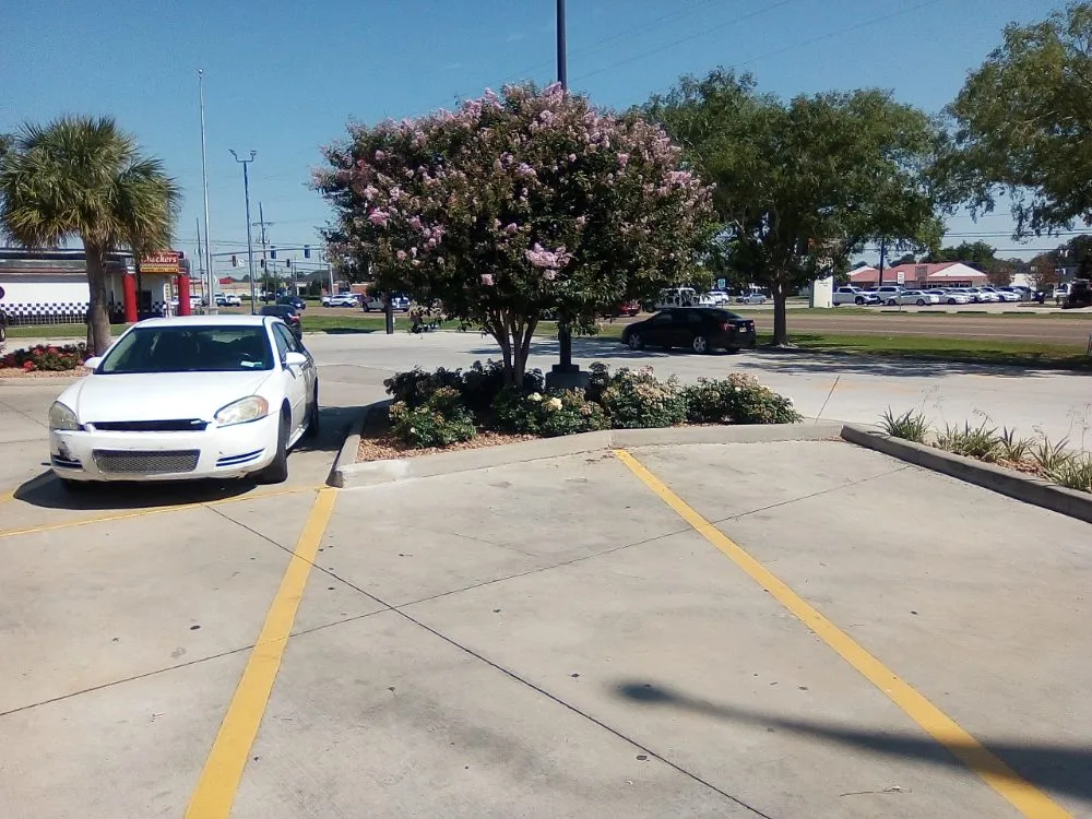 Affordable lawn mowing service experts serving New Iberia, LA - J&A Landscaping