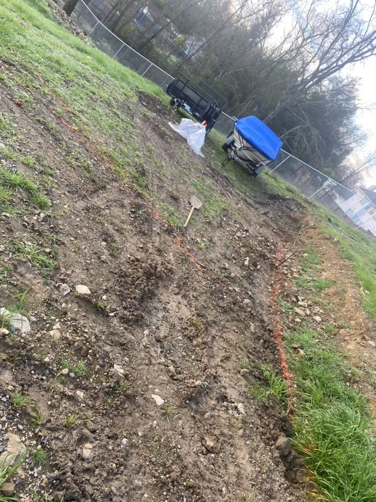 Professional yard cleanup service in Palermo, CA - JA Landscaping