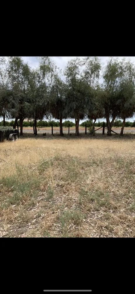 Local residential landscaping experts serving Porterville, CA - J&A Landscaping