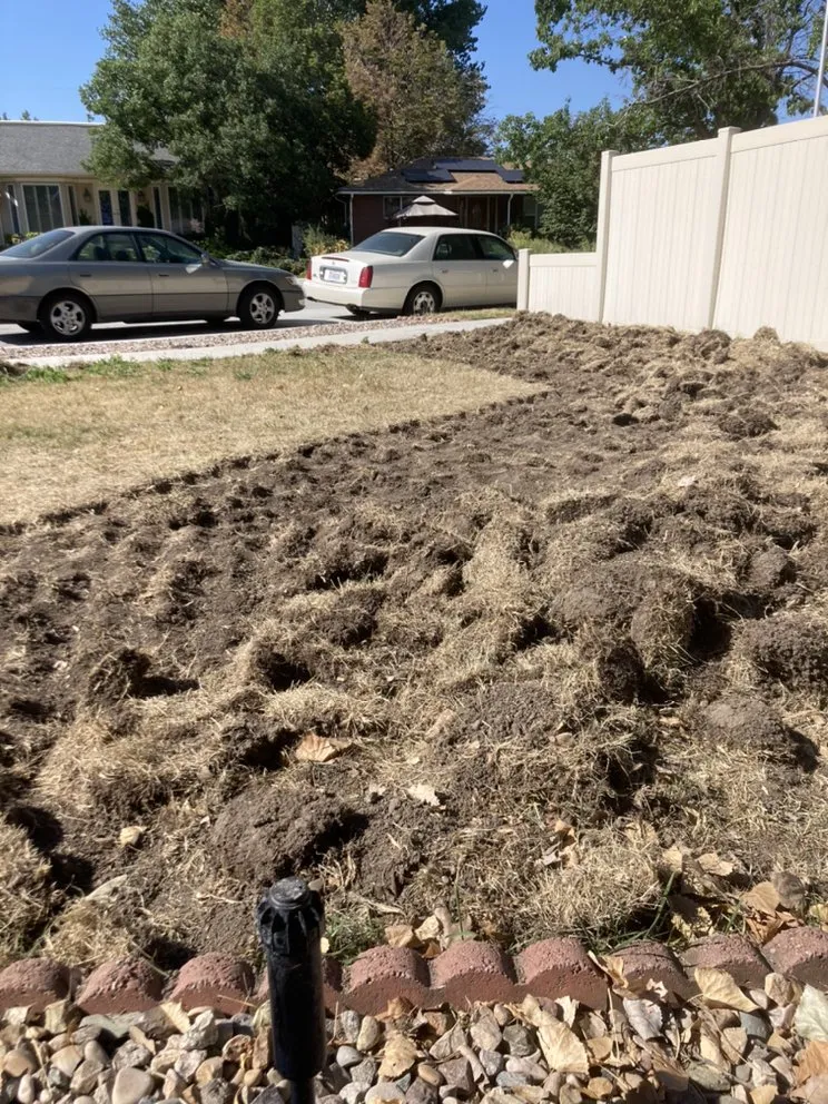 Affordable outdoor landscaping in Salt Lake City, UT - J&A Landscaping