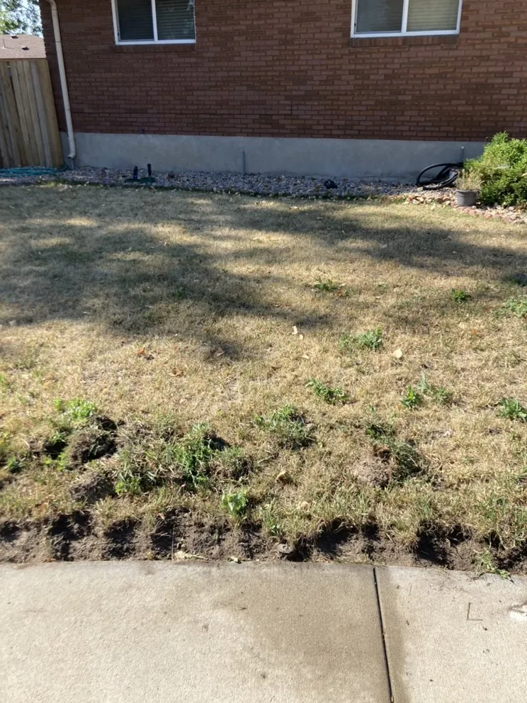 Reliable outdoor landscaping experts serving Salt Lake City, UT - J&A Landscaping