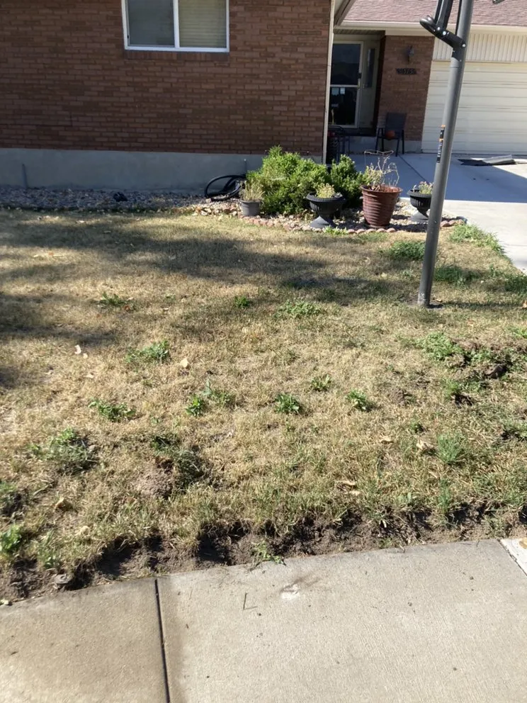 Top-rated landscaping services in Salt Lake City, UT - J&A Landscaping