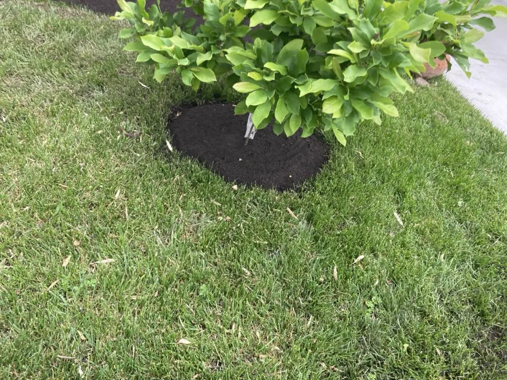 Custom yard cleanup service in Salt Lake City, UT - J&A Landscaping