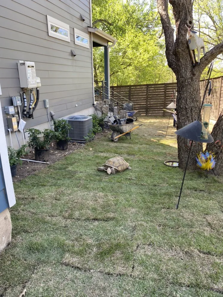 Local landscaping services experts serving Austin, TX - J&A Landscaping Services