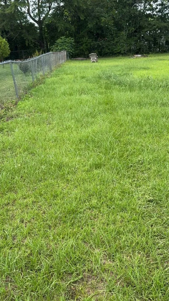 Custom yard maintenance experts serving Ashford, AL - J&A Lawn Care and Pressure Washing