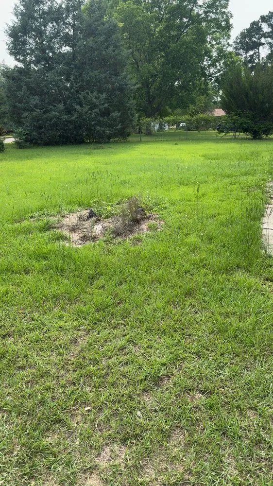 Local yard cleanup service experts serving Ashford, AL - J&A Lawn Care and Pressure Washing