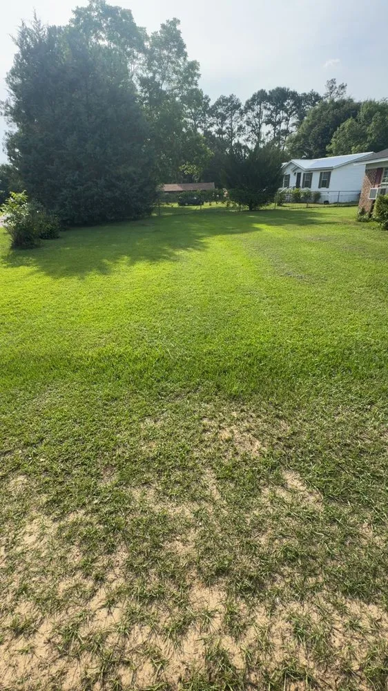 Local landscape installation in Ashford, AL by J&A Lawn Care and Pressure Washing