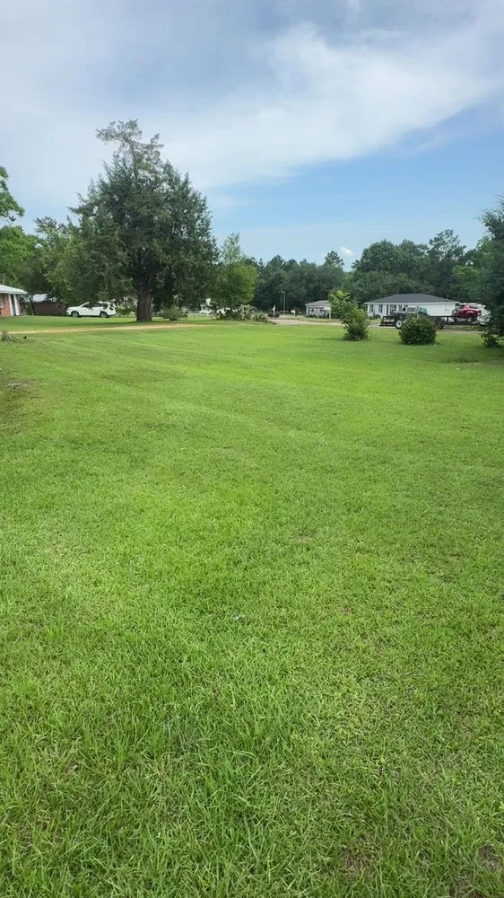 Local yard maintenance for beautiful yards in Ashford, AL by J&A Lawn Care and Pressure Washing