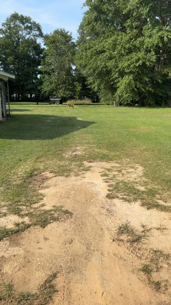 Reliable yard cleanup service for residential properties across Ashford, AL - J&A Lawn Care and Pressure Washing