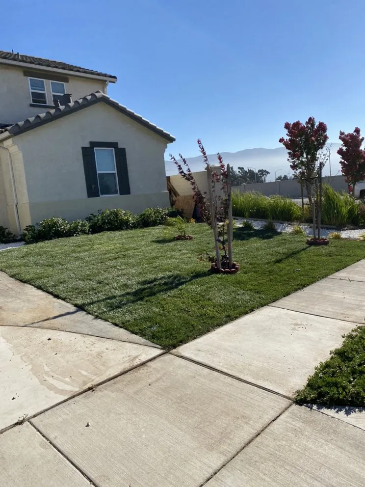 Local yard maintenance in Monterey, CA by J&A Lawn Services