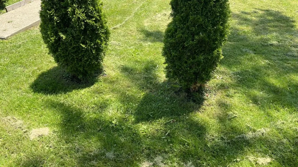 Trusted outdoor landscaping experts serving Gilbertsville, PA - J&A Lawncare & Hauling