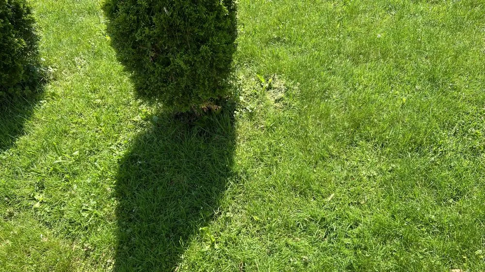 Reliable lawn mowing service experts serving Gilbertsville, PA - J&A Lawncare & Hauling