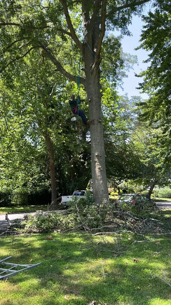 Affordable yard maintenance for year-round maintenance across Lawrence, NY - JA Ostorga Landscaping and Tree Services