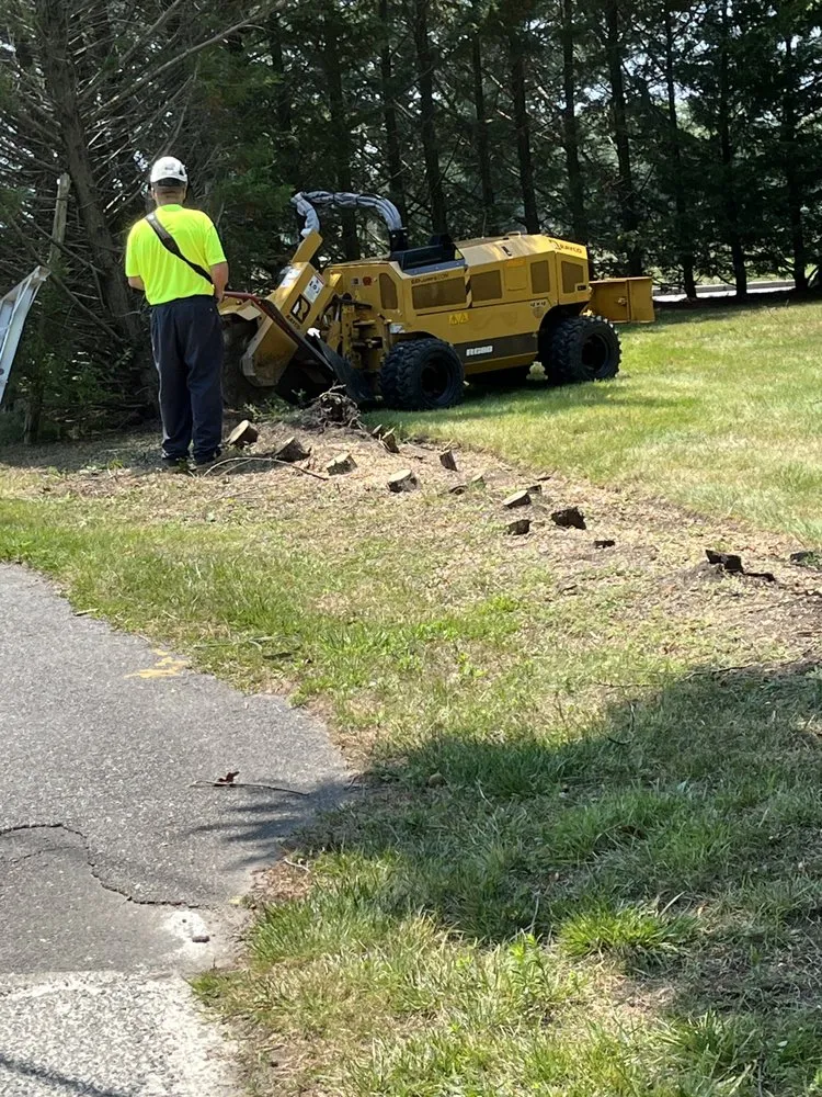 Expert landscape design in Lawrence, NY by JA Ostorga Landscaping and Tree Services