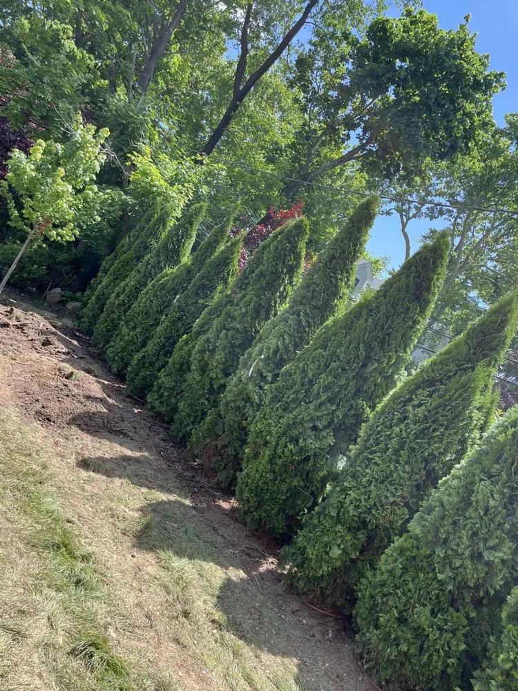 Reliable residential landscaping in Lawrence, NY - JA Ostorga Landscaping and Tree Services