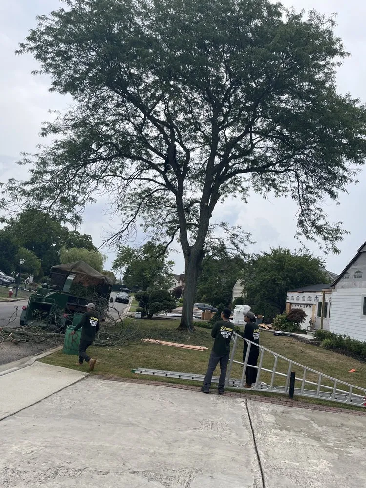 Professional landscaping services in Lawrence, NY - JA Ostorga Landscaping and Tree Services