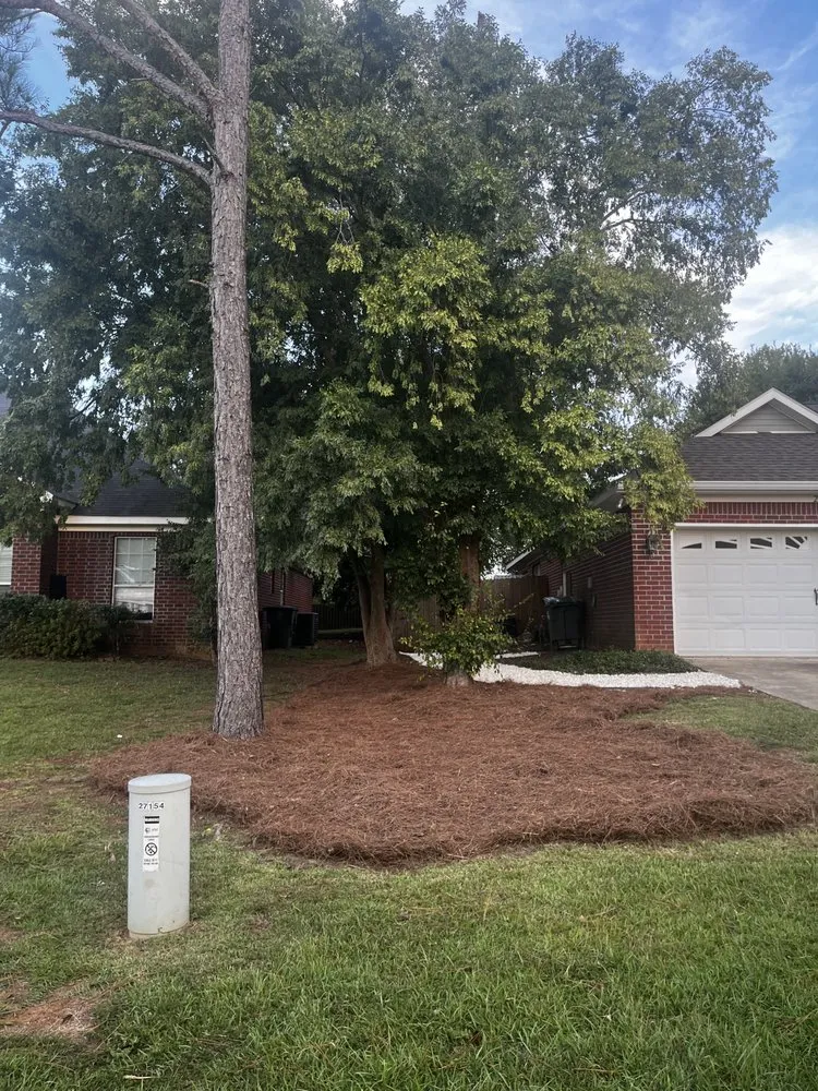 Affordable lawn care service for outdoor upgrades in Mobile, AL by J&A Precision Lawn and Landscaping