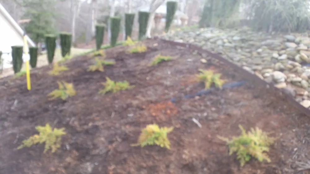 Professional yard cleanup service in Hickory, NC by J&A Professional Services