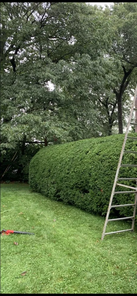 Trusted outdoor landscaping in West Springfield, MA by J&A Property Maintenance