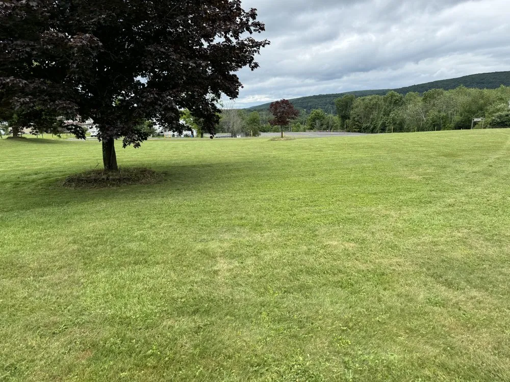 Reliable landscape installation with custom design across Scott Township, PA - J&A Scrap Metal & Services