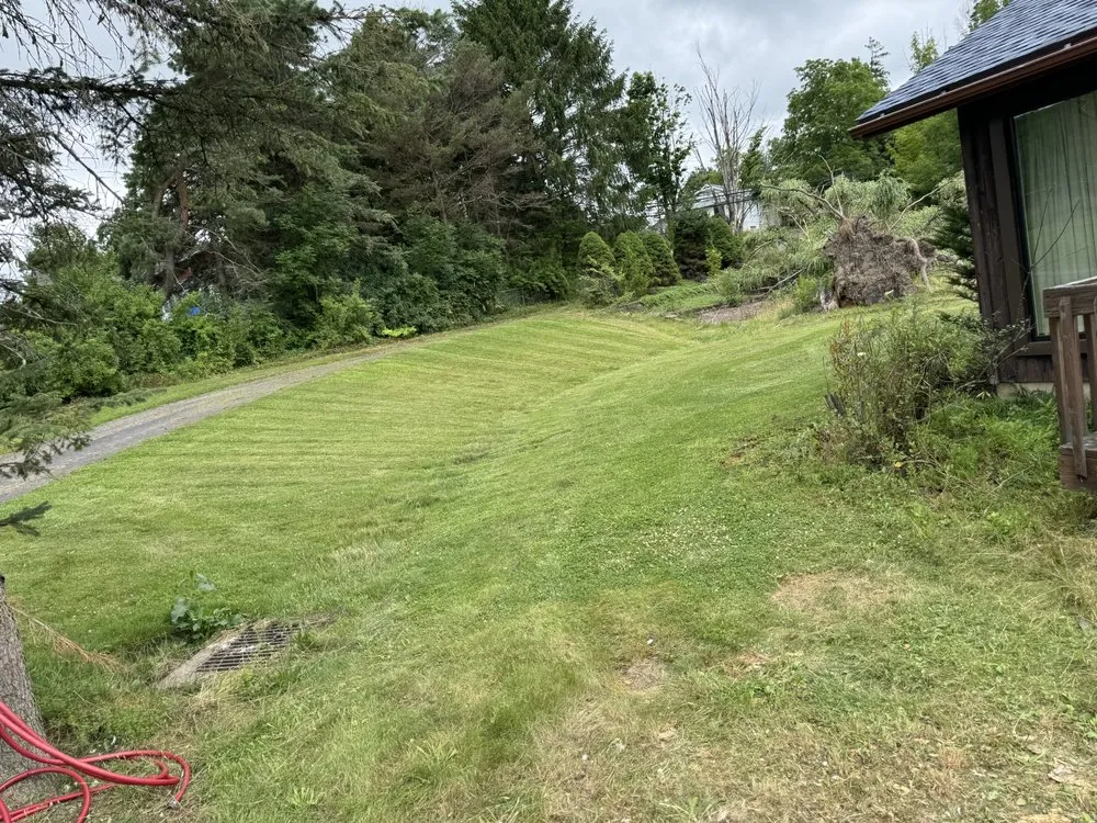 Custom lawn care service for outdoor upgrades in Scott Township, PA by J&A Scrap Metal & Services