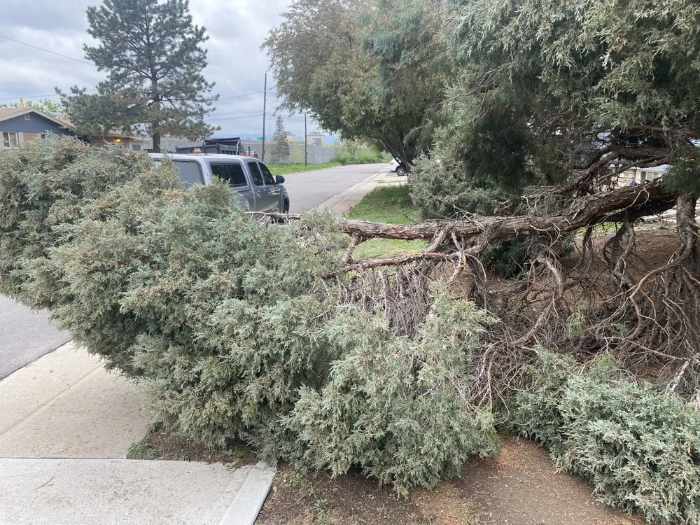 Local yard maintenance for outdoor upgrades across Englewood, CO - JA Services Property Maintenance