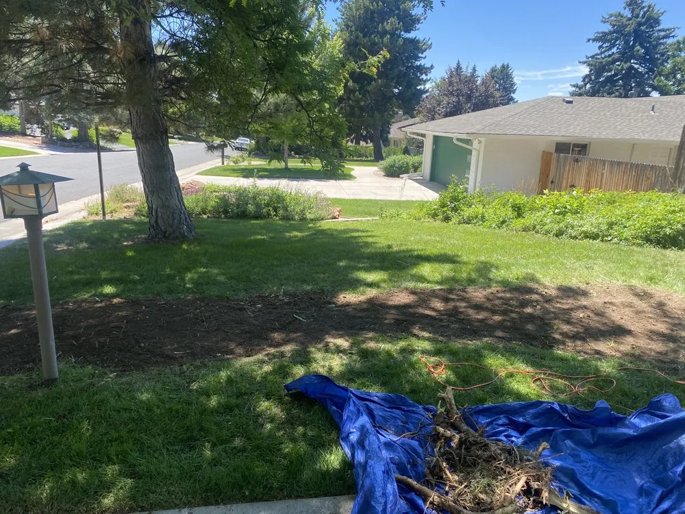 Affordable yard cleanup service experts serving Englewood, CO - JA Services Property Maintenance