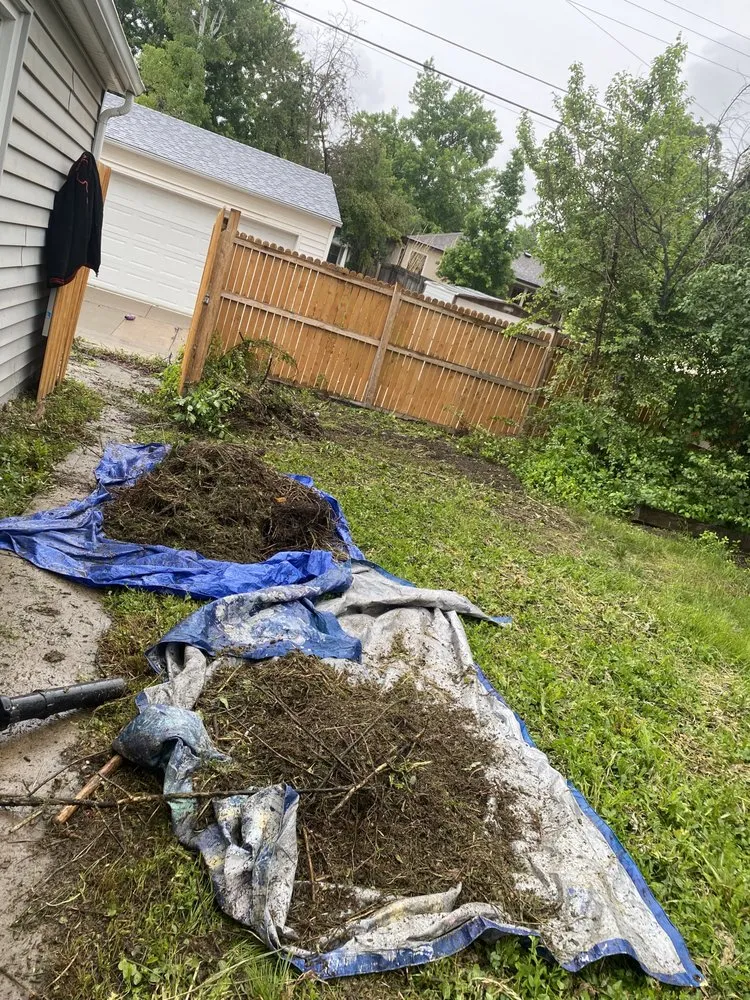 Top-rated yard cleanup service experts serving Englewood, CO - JA Services Property Maintenance