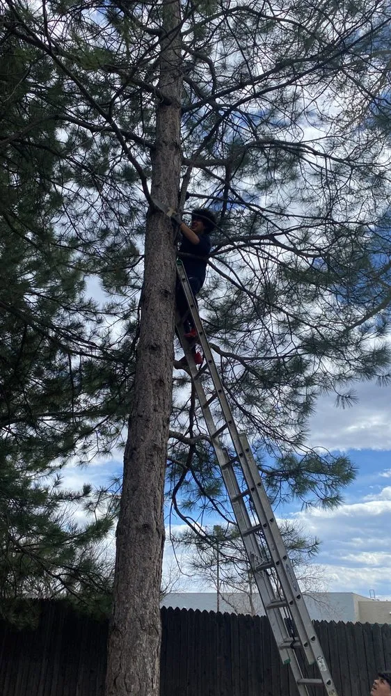 Expert lawn mowing service for homes in Englewood, CO by JA Services Property Maintenance
