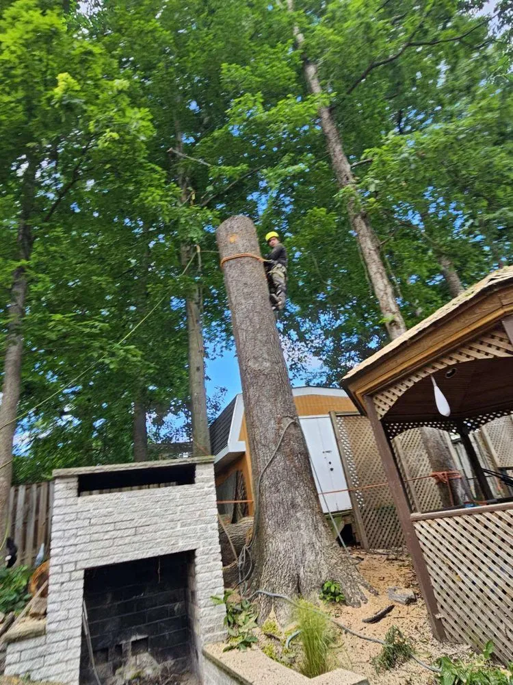 Reliable yard cleanup service in Spotsylvania, VA by J&A Tree and Landscape Service