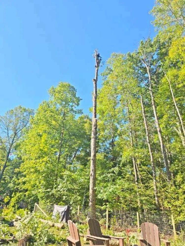 Expert lawn mowing service experts serving Spotsylvania, VA - J&A Tree and Landscape Service