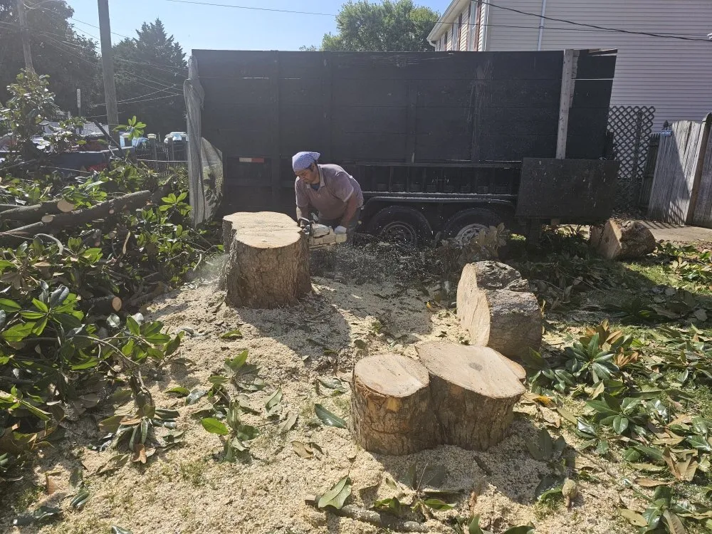 Reliable lawn care service in Spotsylvania, VA - J&A Tree and Landscape Service