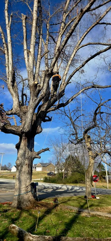 Professional landscape design in Crossville, TN - J&A Tree and Lawn Service