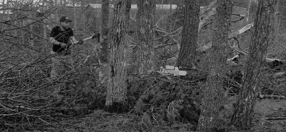 Expert landscape installation in Crossville, TN by J&A Tree and Lawn Service