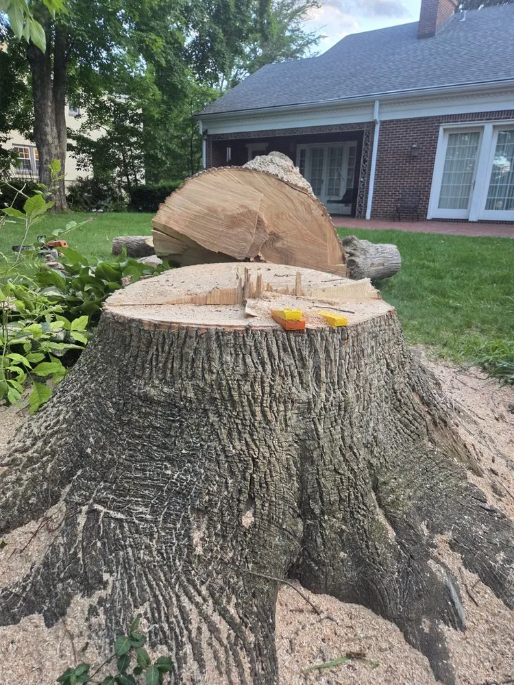 Expert landscape design with custom design in Crossville, TN by J&A Tree and Lawn Service